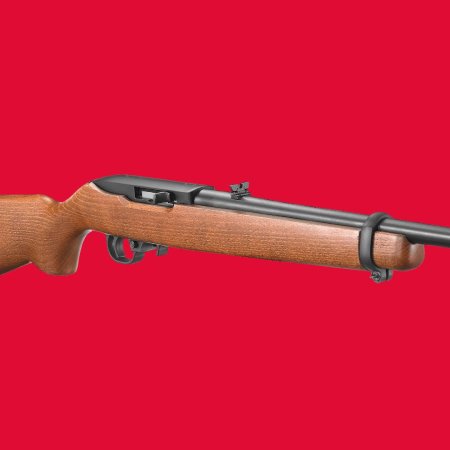 Ruger 10/22