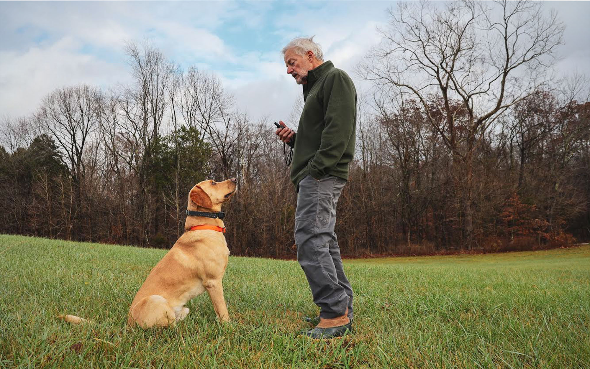 Opinions vary on e-collars.