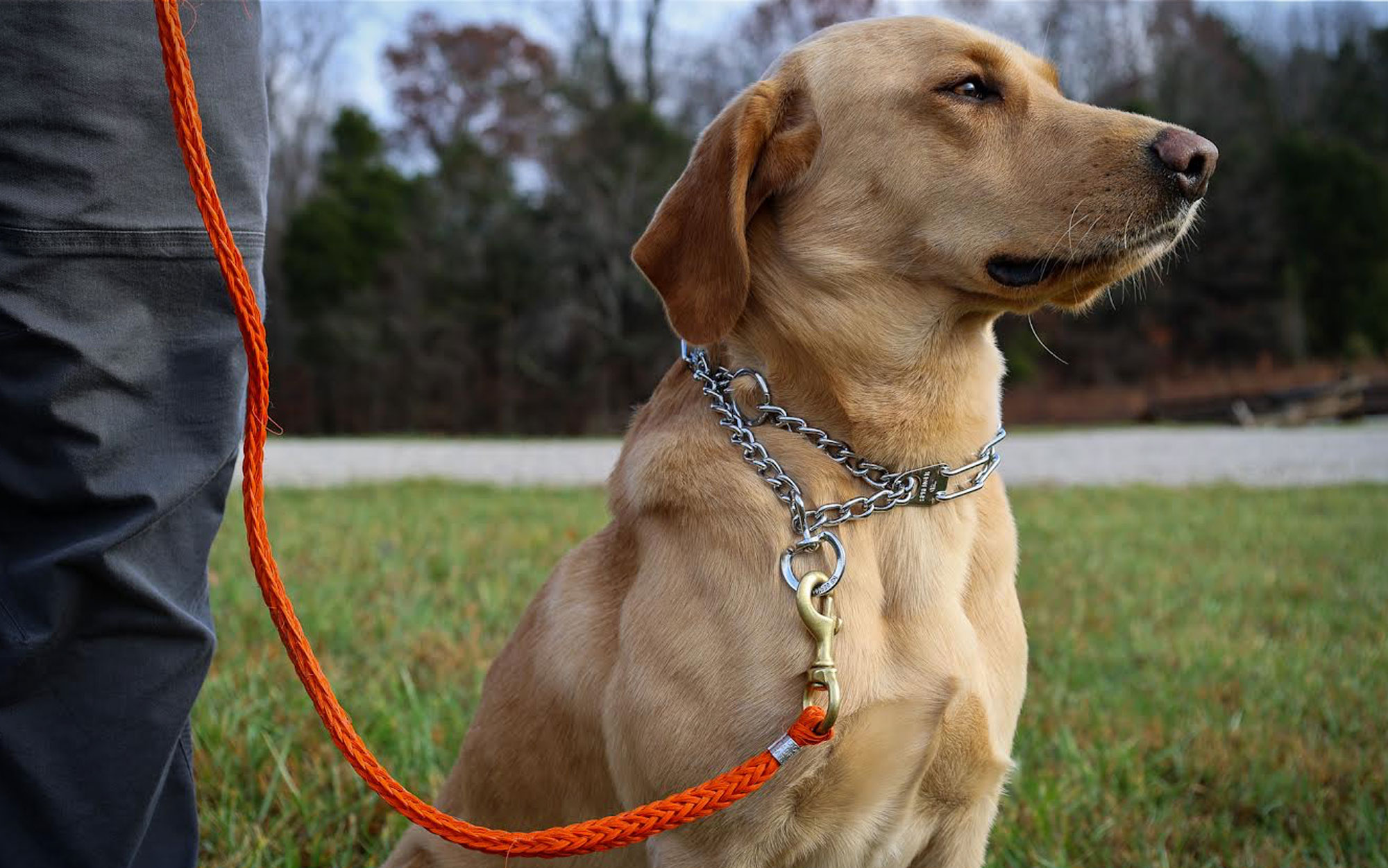 We tested the Herm Sprenger prong collar.