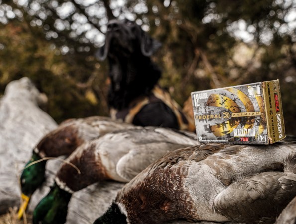 Best Duck Loads: How to Pick the Right Shell for the Right Bird