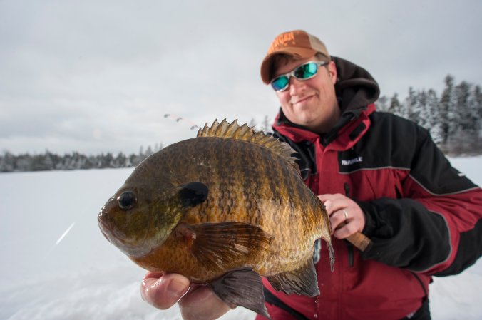 The author tested the best panfish reels for two decades