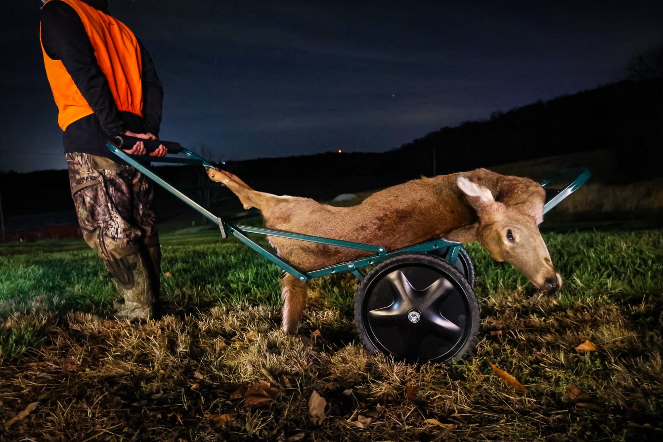 Testing the best deer carts