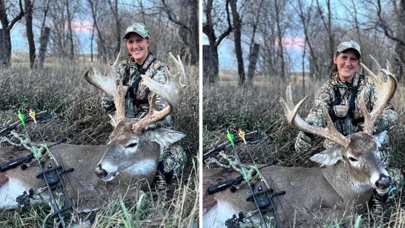 SD bowhunter massive palmated buck