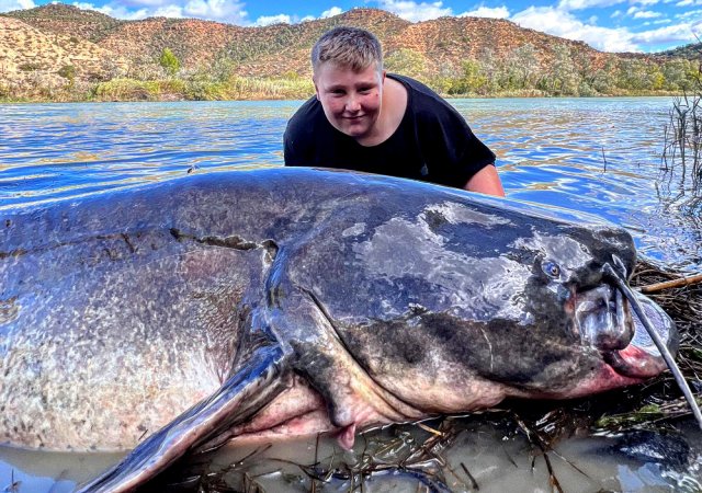 british boy world record worthy wels catfish