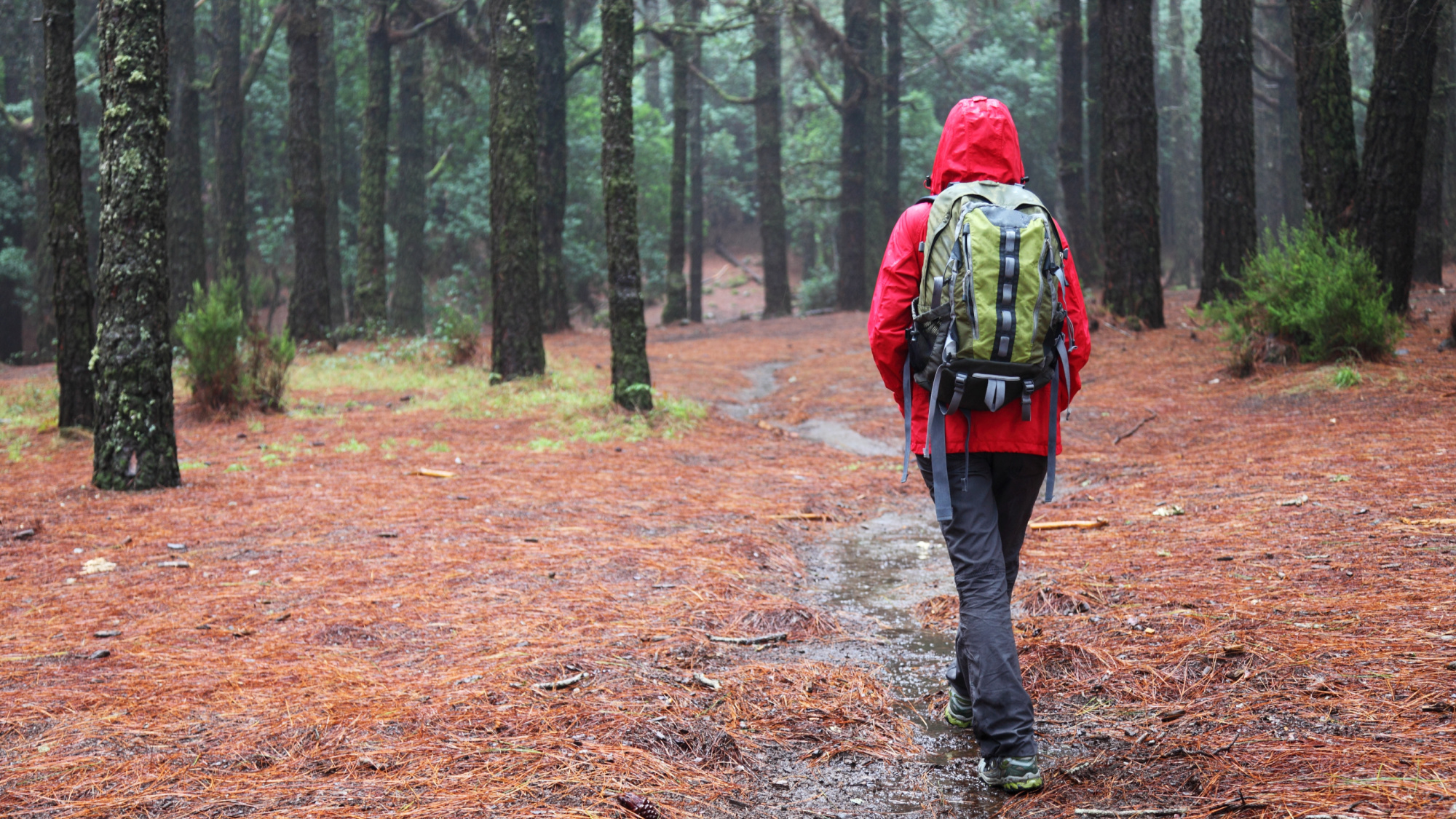 girl hiking in the woods in rain