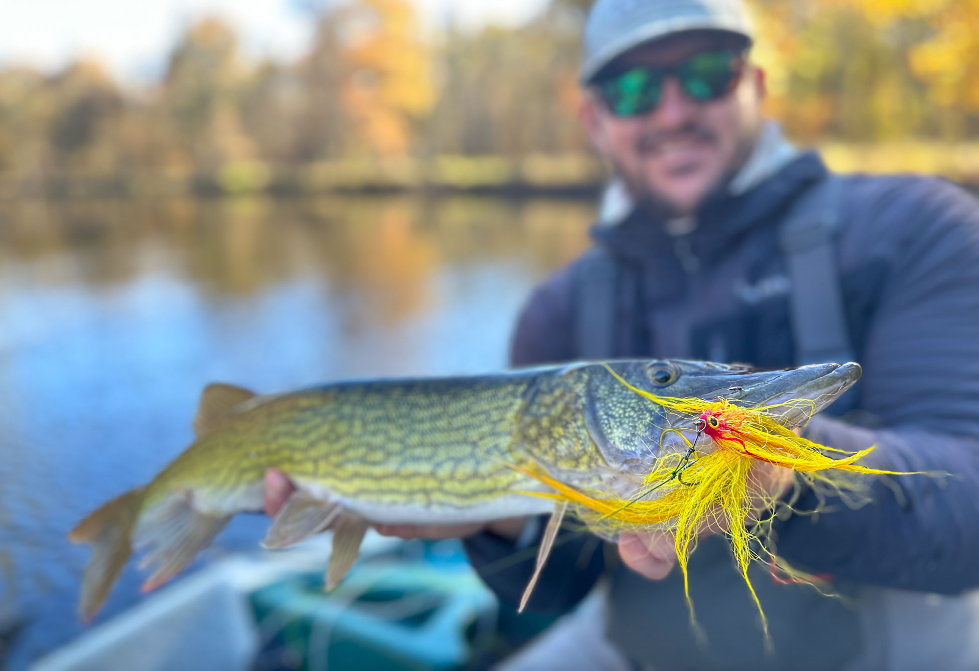 Pickerel Fishing Tips, Tricks and How To's 