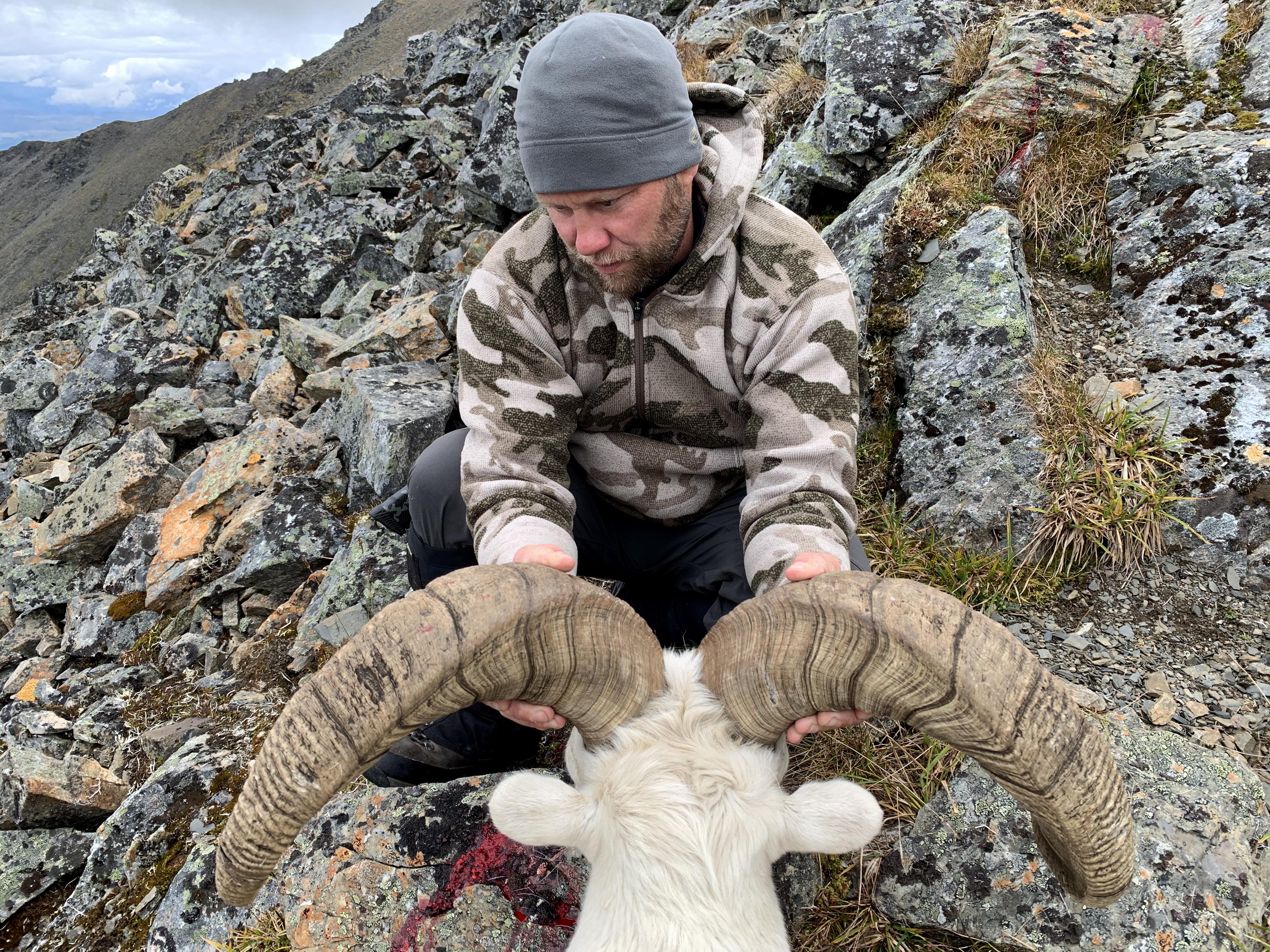 A sheep hunter admires the curling horns of a Dall ram.