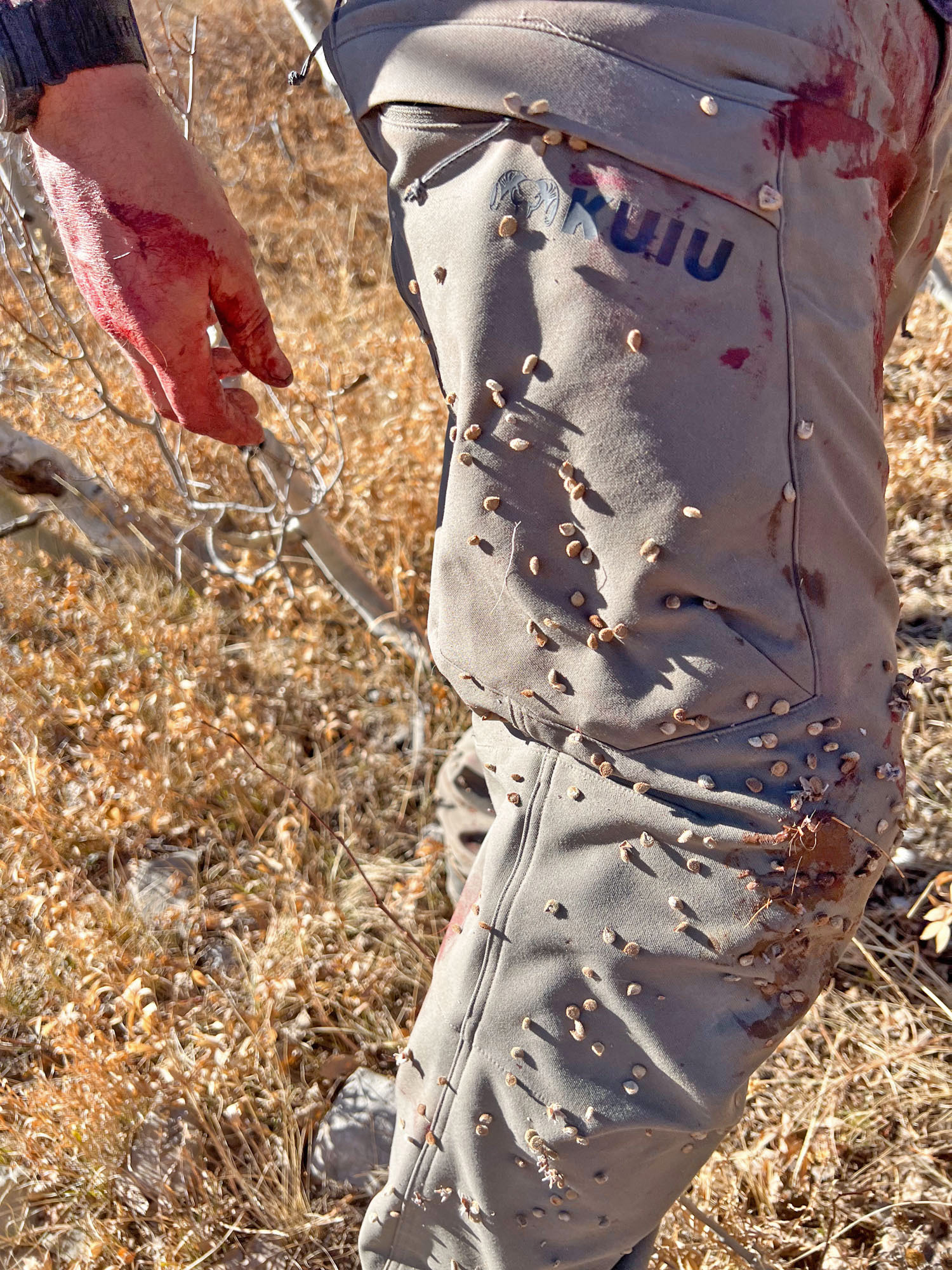 kuiu attack pant