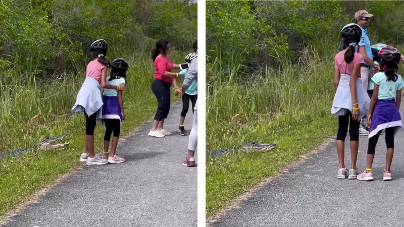 A family of Everglades tourists poses too close to an alligator.