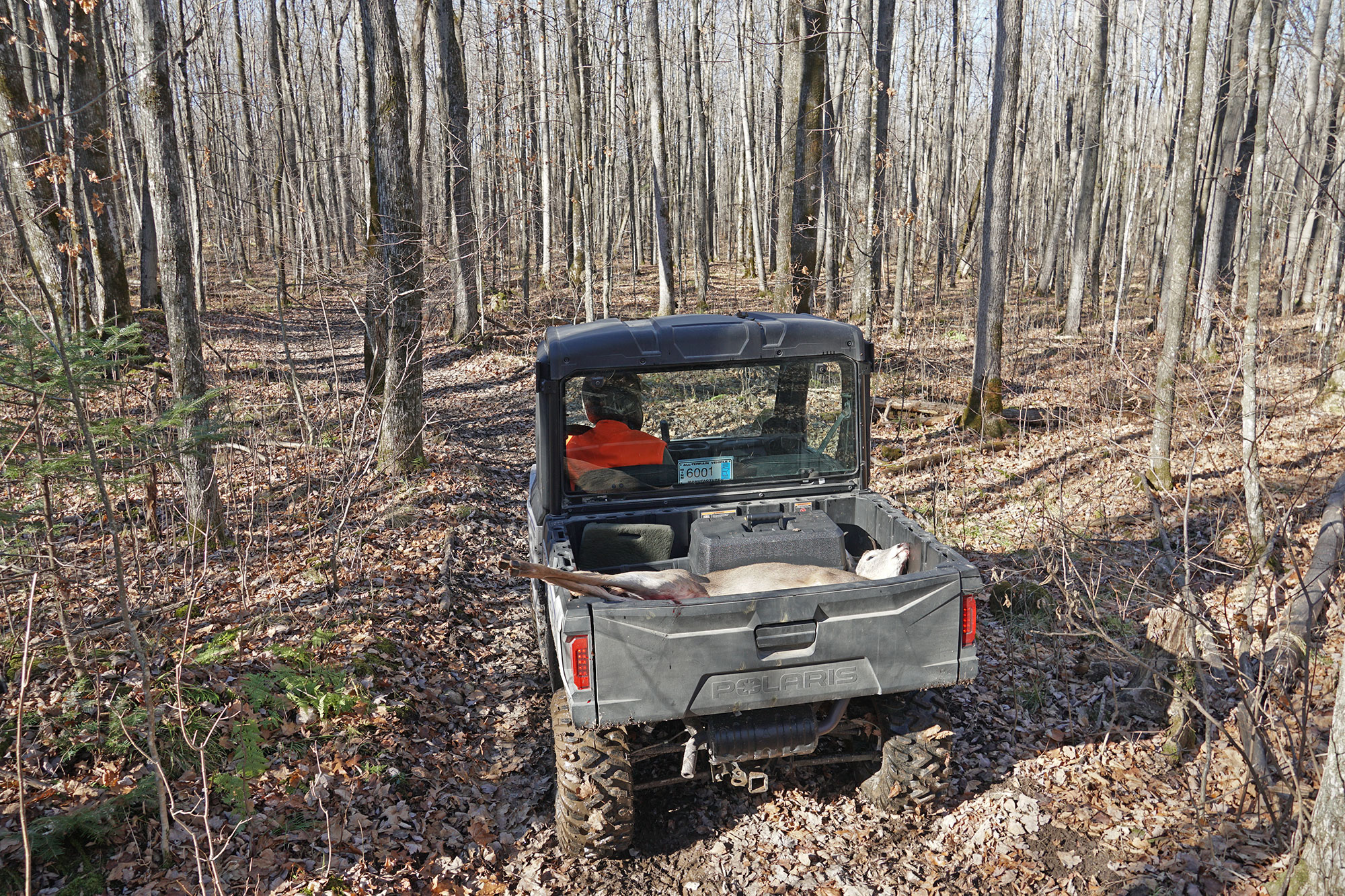 polaris ranger