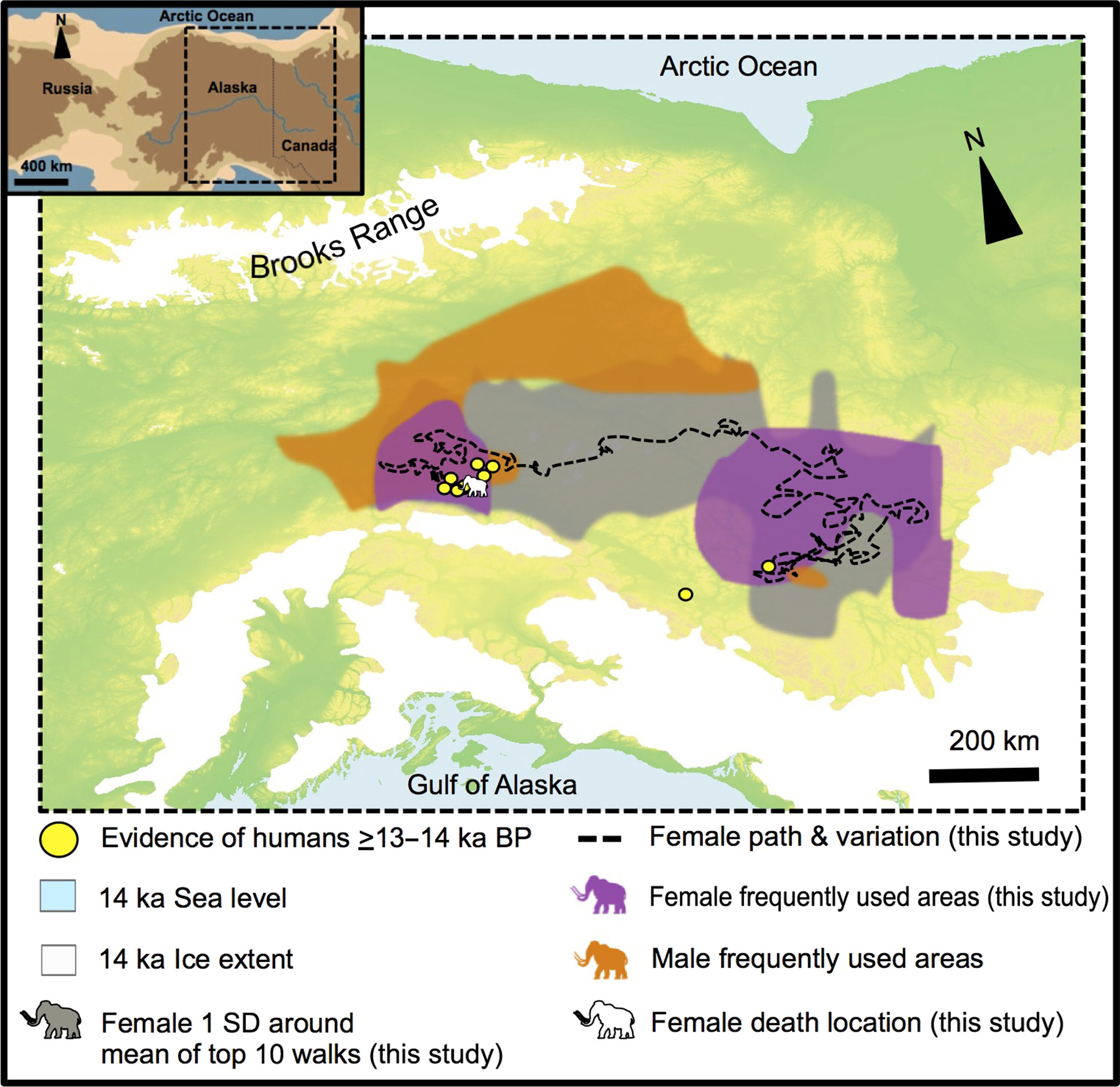 Early Alaskans Built Hunt Camps on Woolly Mammoth Migration Routes