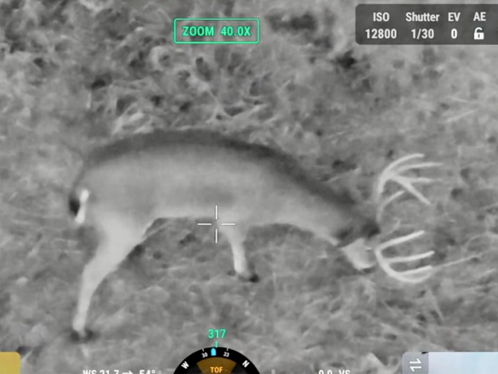 Drones Could Revolutionize Deer Recovery — If They Aren't Banned First