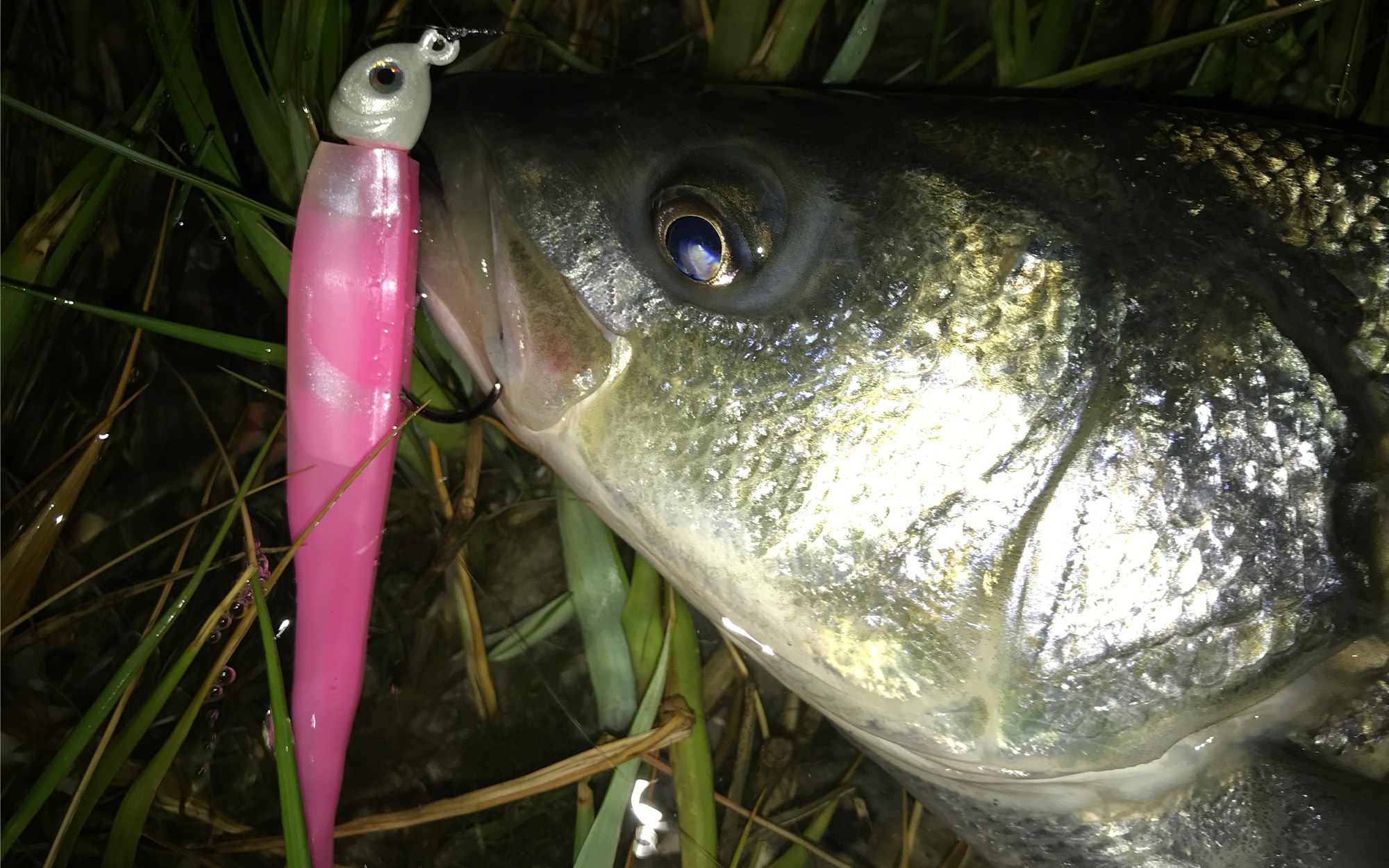 How to Use the Trigger Method to Unsnag Lures