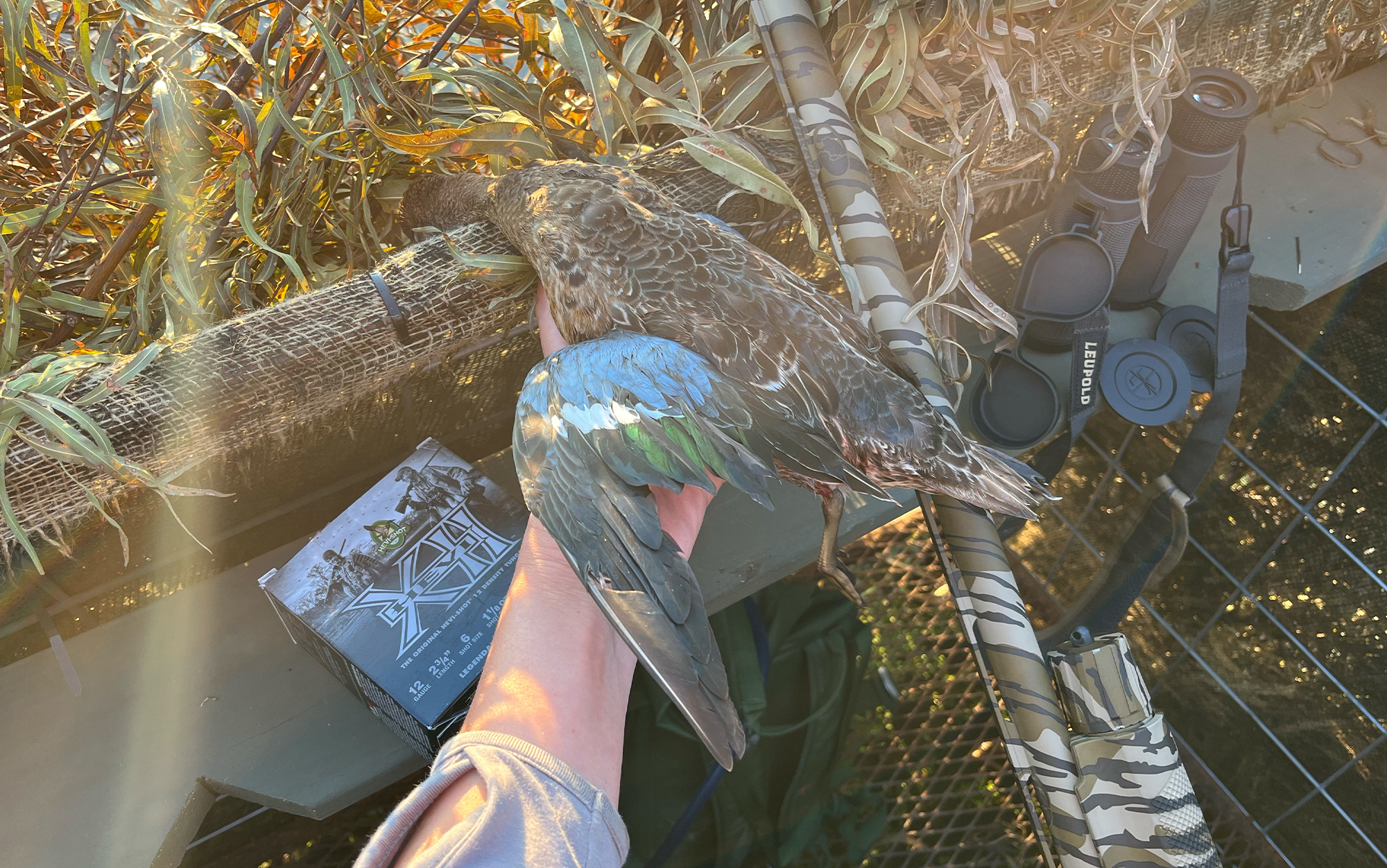 My first duck, an early season teal, taken with the S2 at Honey Brake outfitters in Louisiana.