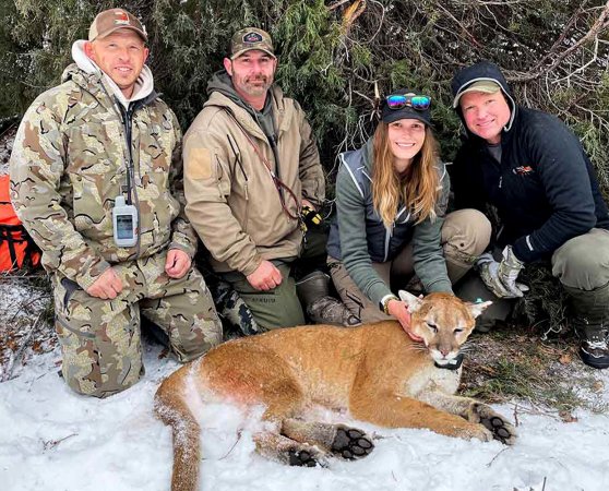 Wildlife biologists and houndsmen with a cougar they fitted with a GPS collar.