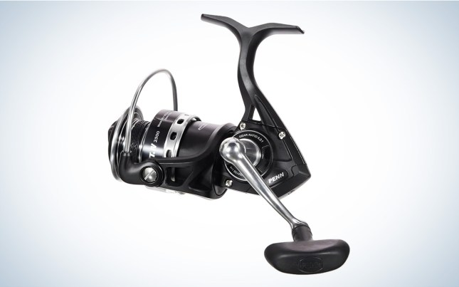 The 10 Best Spinning Reels for a $100 Budget