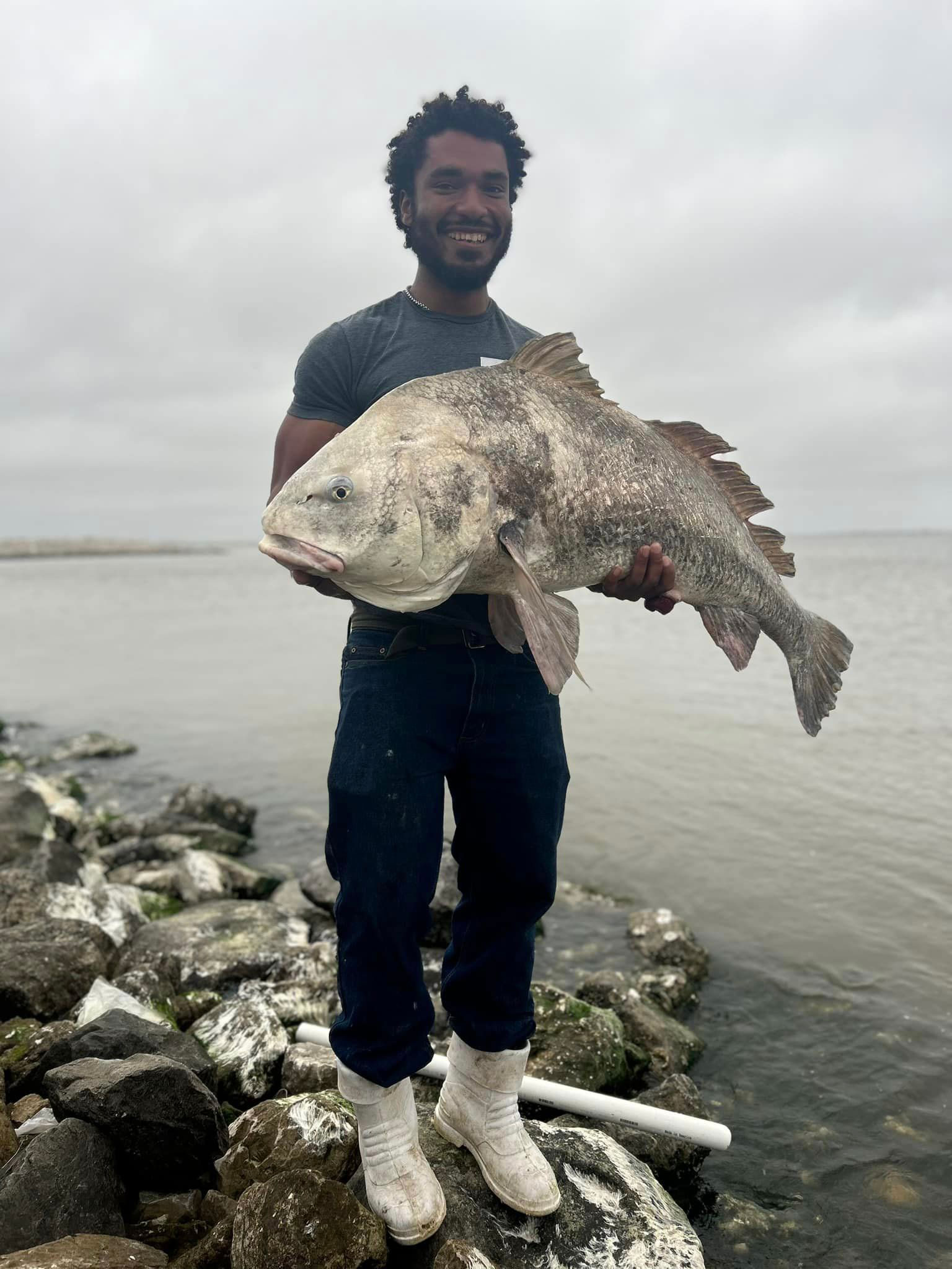 Peixe Lixo ou Tesouro: Tambor PretoPeixe Lixo ou Tesouro: Tambor Preto  