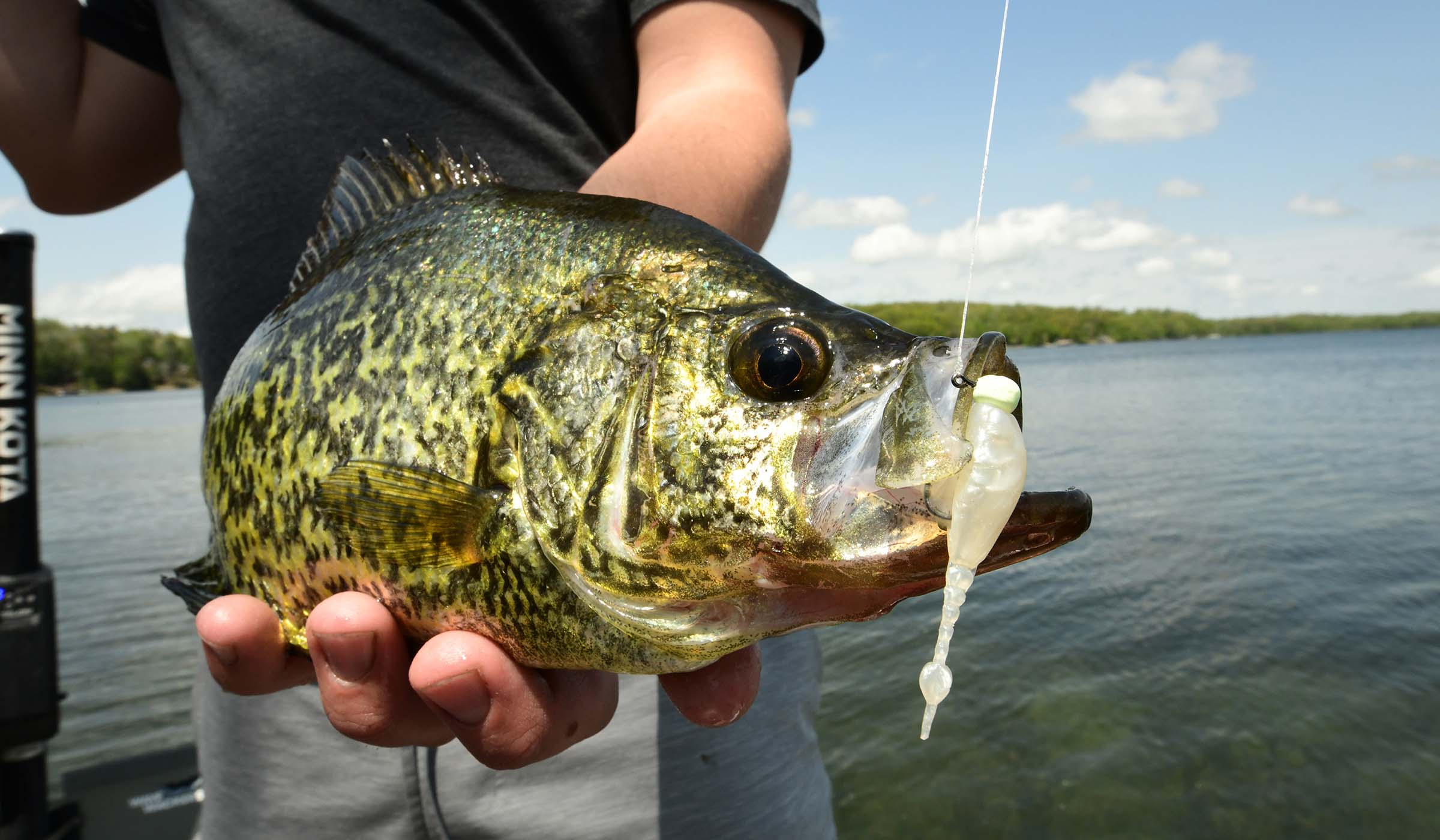 Buy Panfish HI-VIS Yellow 4lb Test Fishing Line Online at