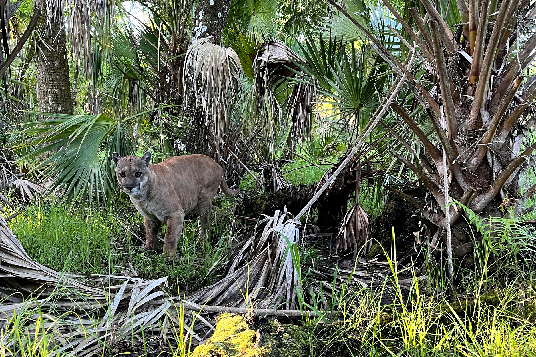 Florida Archives - Share the Outdoors