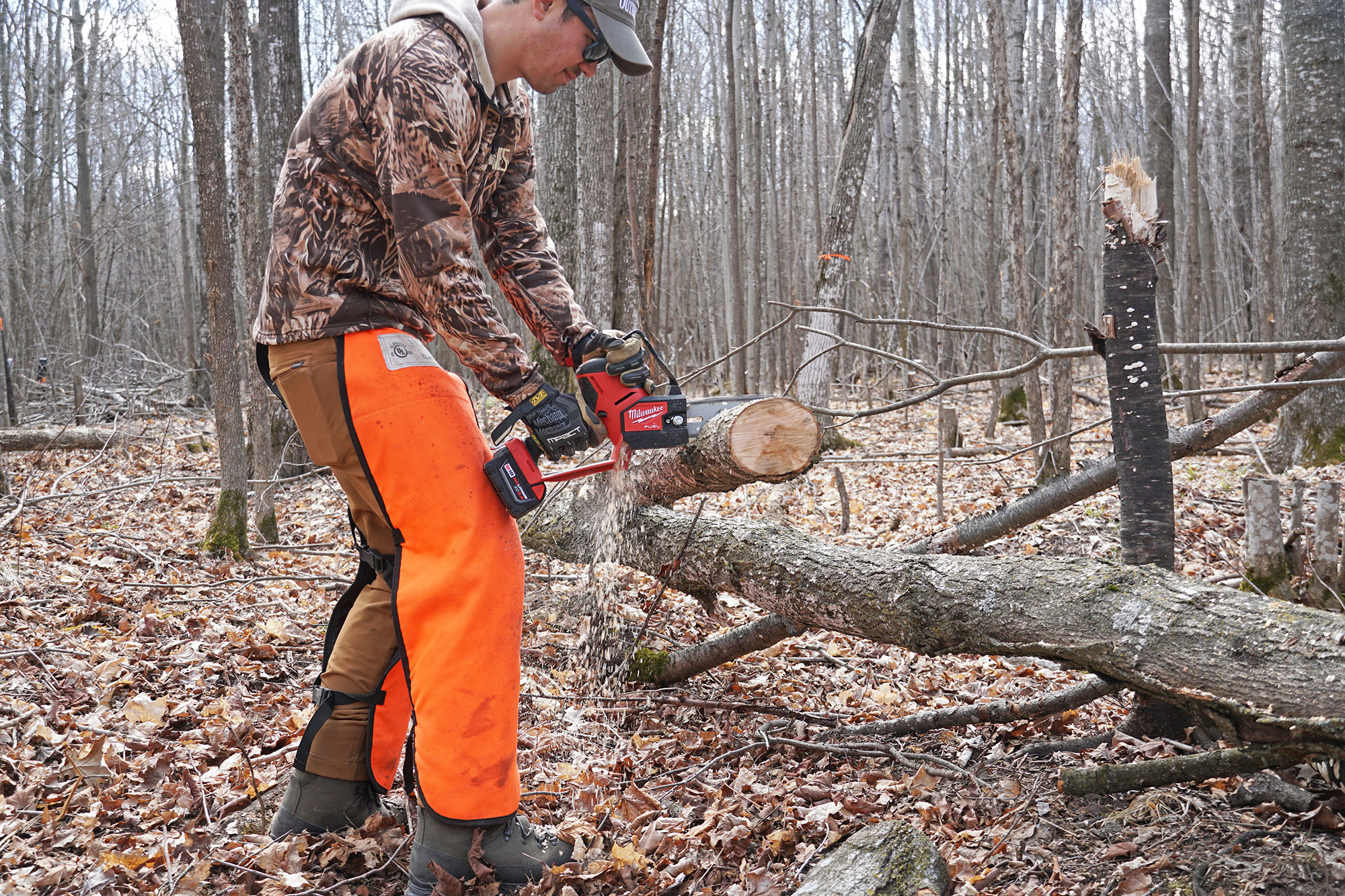 milwaukee mini chainsaw