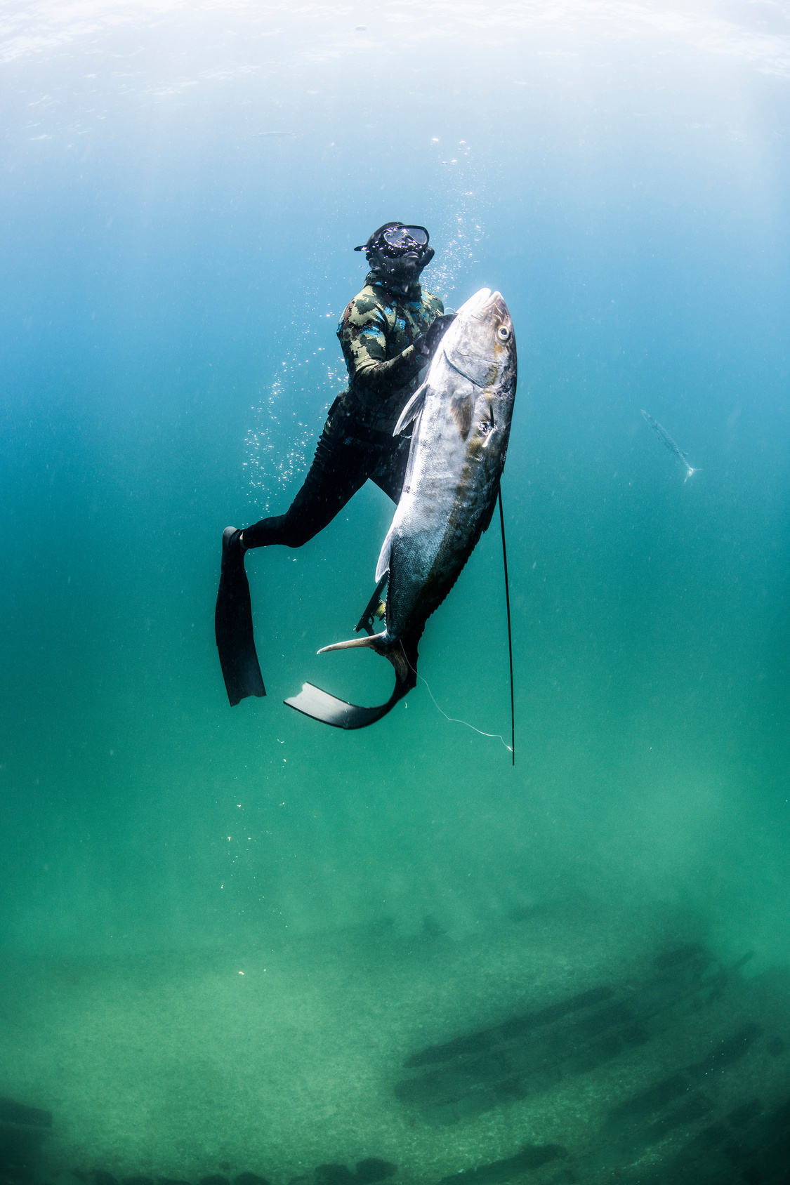 Spearfishing Safety Tips to Avoid a Diving Disaster