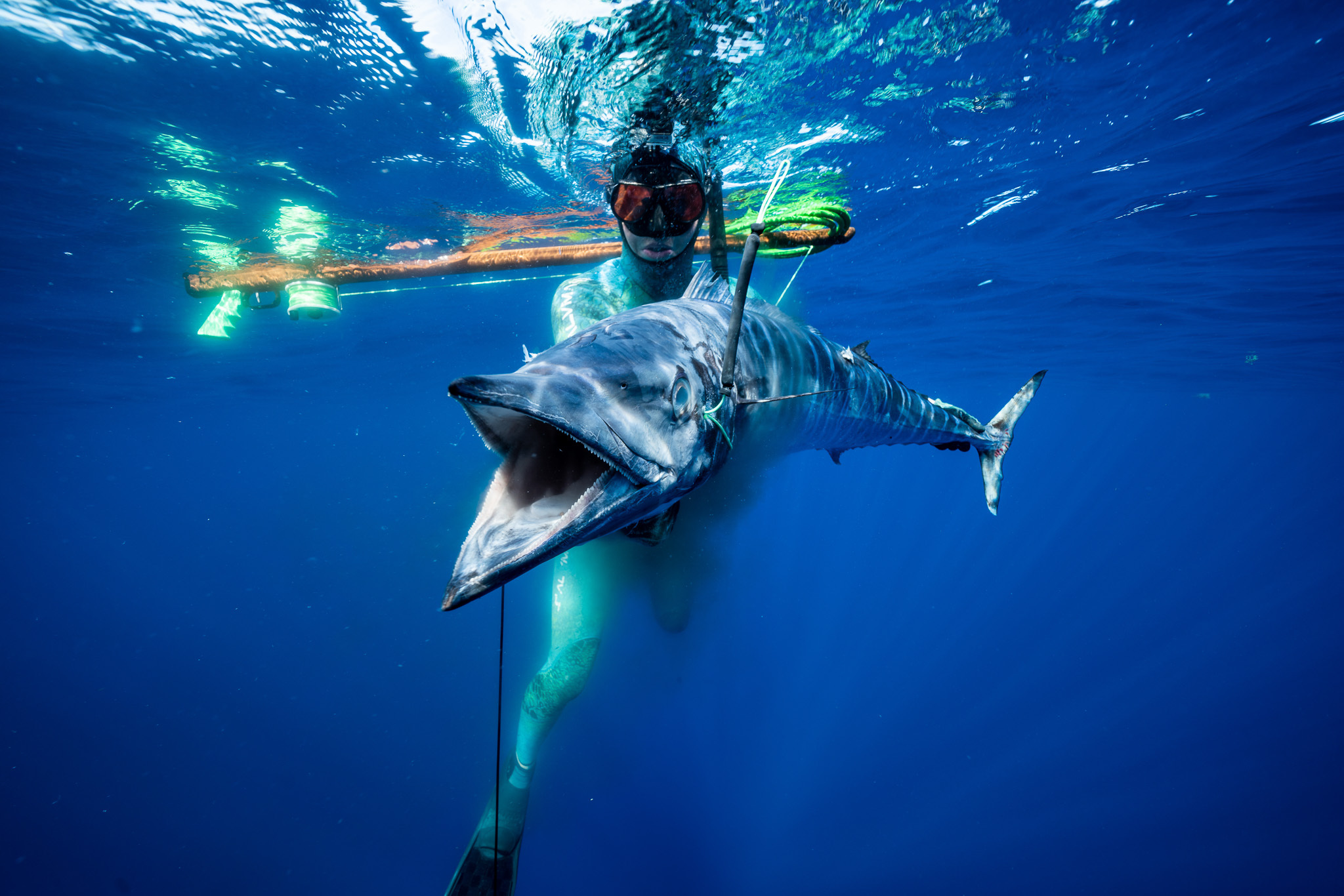 An 'In-Depth' Look Into Spearfishing