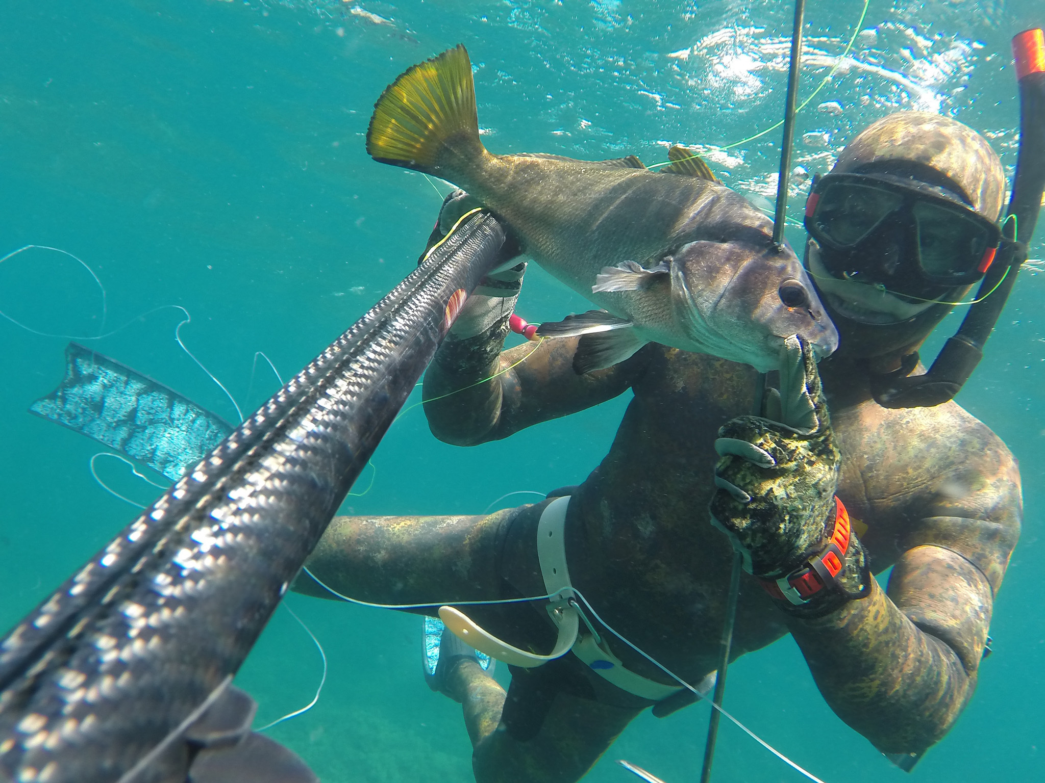 Smarty Outdoor Upgrade Spearfishing with Fishing Arrow and Fishing