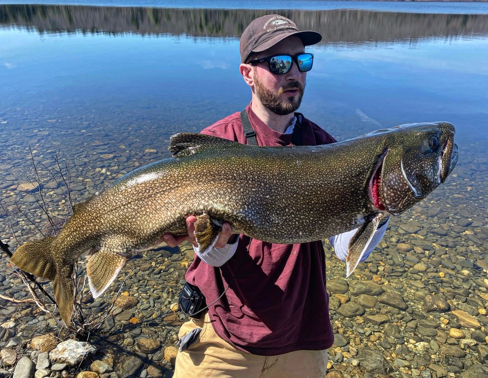 Watch: Massachusetts Angler Catches Potential Record Lake Trout from ...