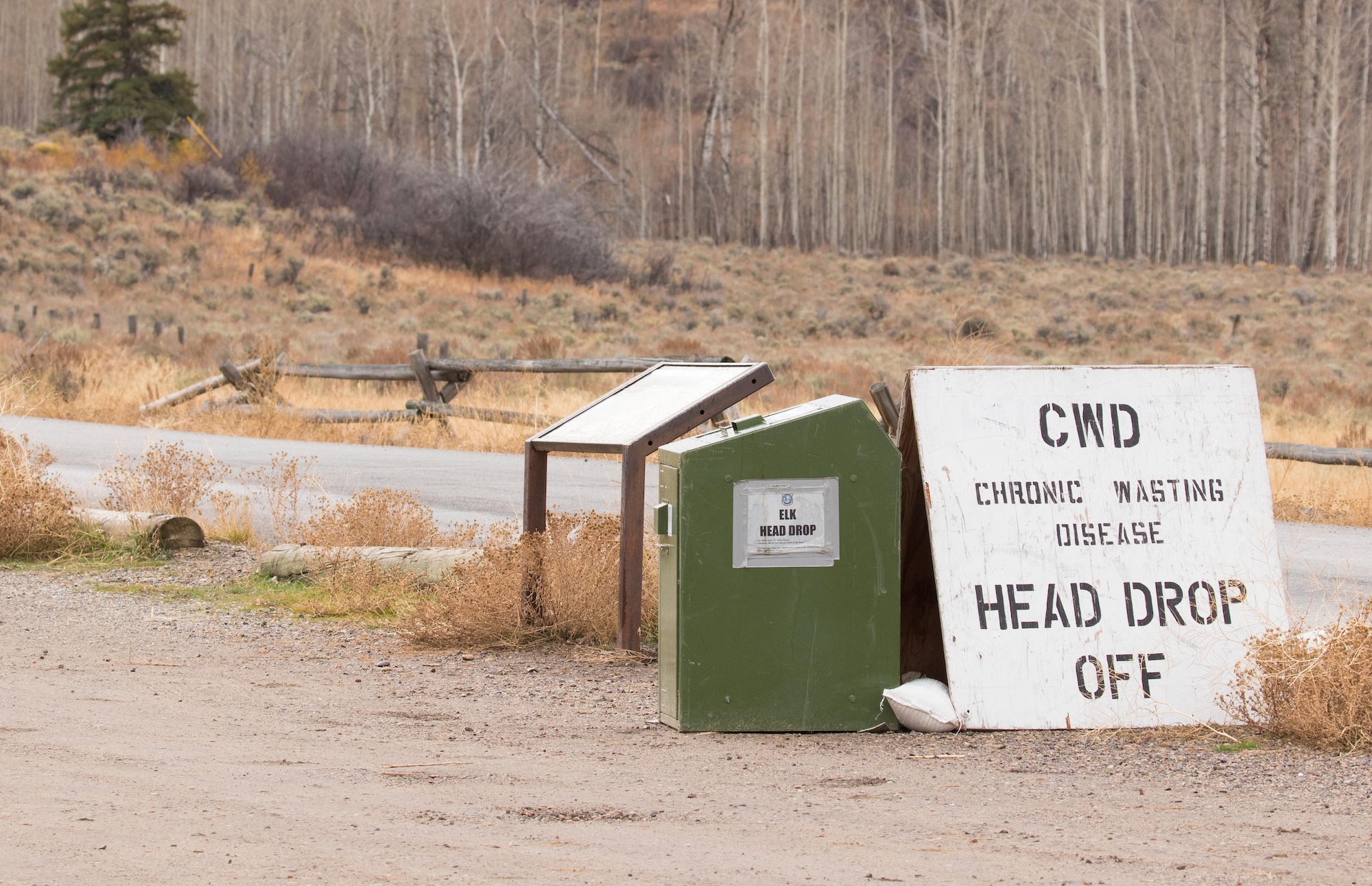 Chronic wasting disease hunter head dropoff container