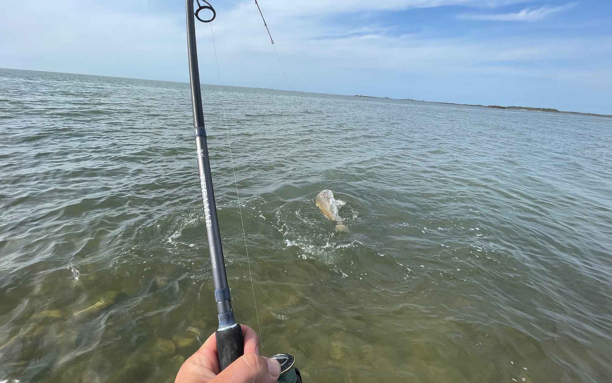 Angler reels in fish.