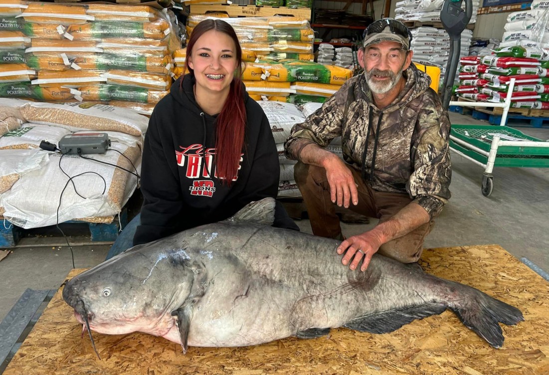 101-Pound Blue Catfish Caught on Jugline Is Officially the New Ohio ...