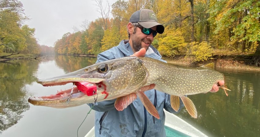 A pike fisherman holds up a nice pike on a boat in a river.