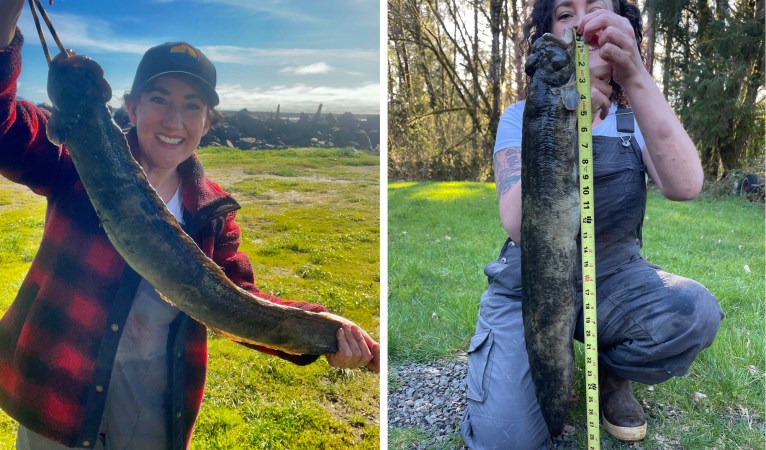 Rebecca Jones with a record monkeyface prickleback.