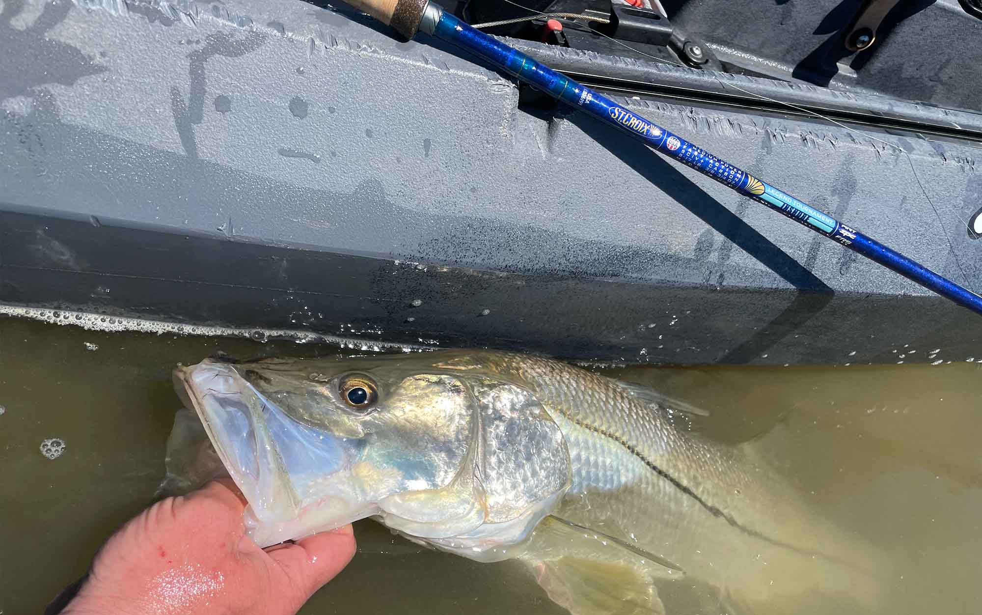 The St. Croix Legend Inshore Tournament Series and catch.