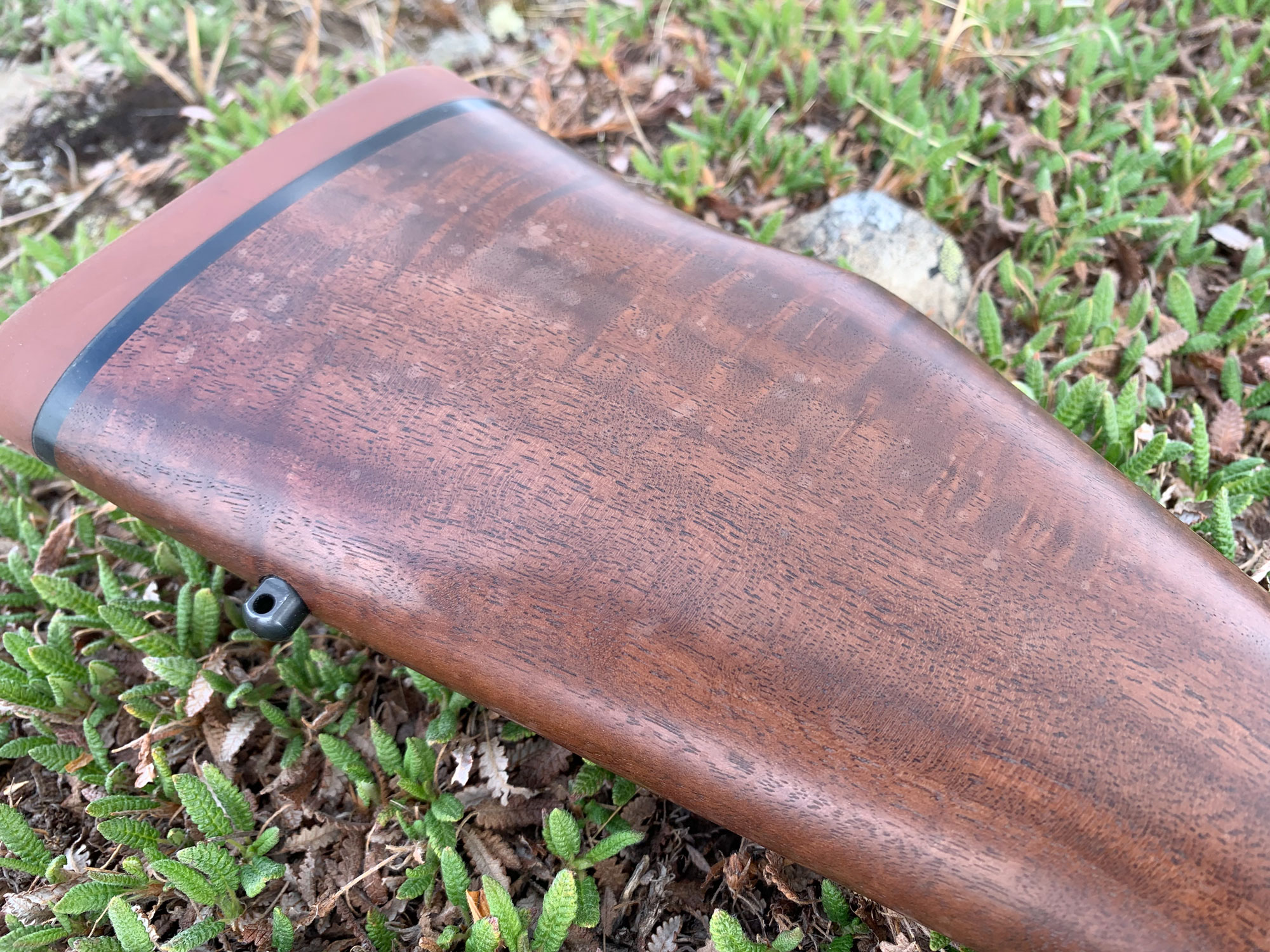 Weatherby 307 Adventure SD rifle stock