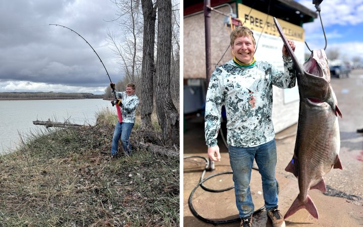 Angler fights paddlefish from shore; angler weighs paddlefish.