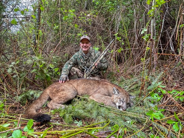 Close Call: I Shot a Mountain Lion at 7 Paces