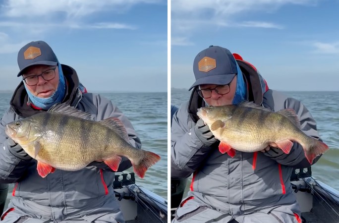 Watch: Fisherman Catches 7-Pound ‘Perch of His Dreams’ and Can Hardly Contain Himself