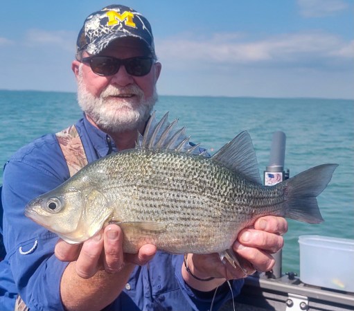 The new state-record white perch caught by Scott Smith in Michigan