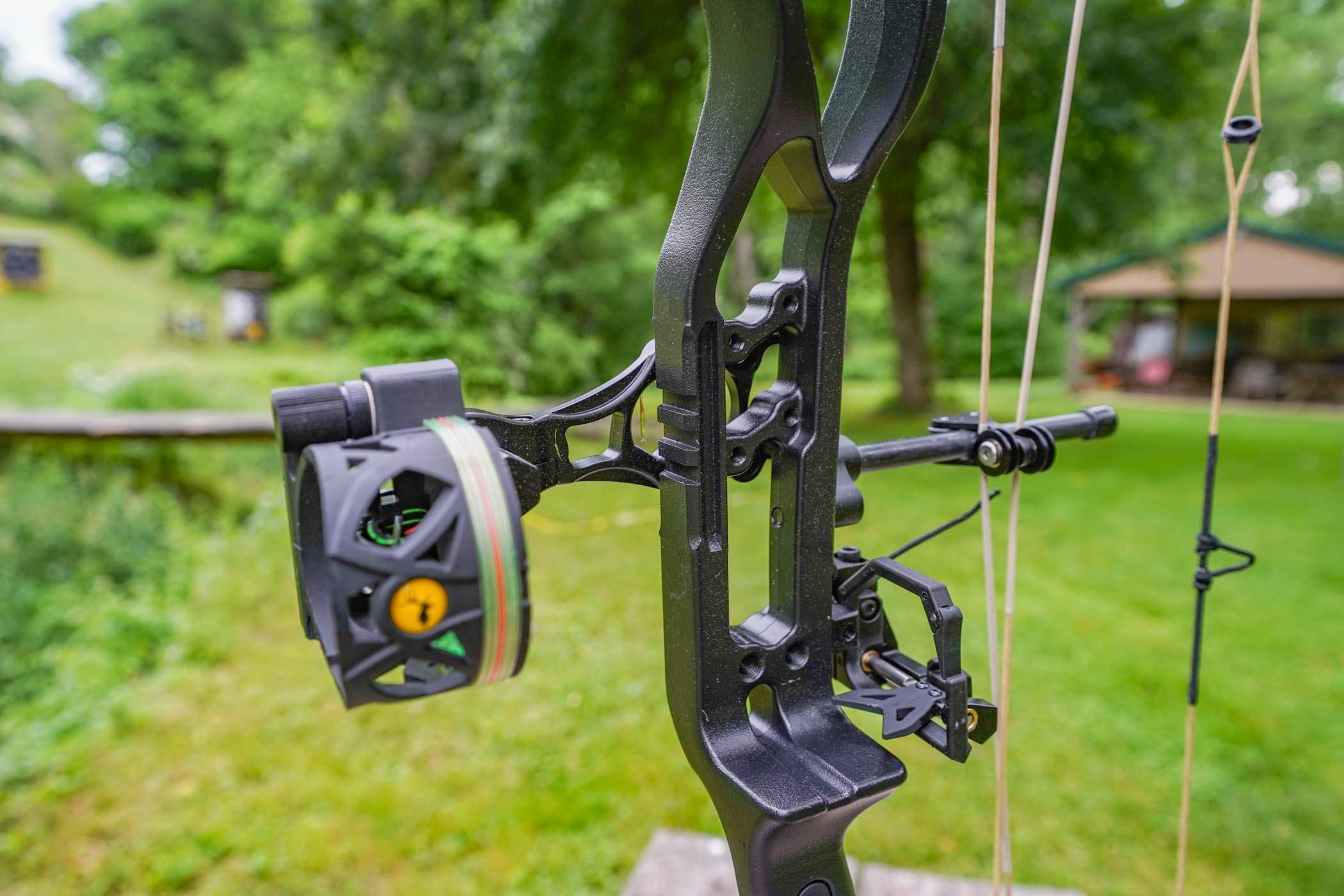 bear pic The Best Compound Bows for the Money, Tested and Reviewed