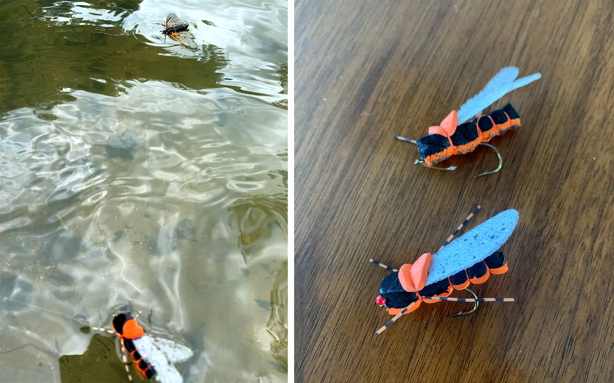 A cicada and cicada fly.