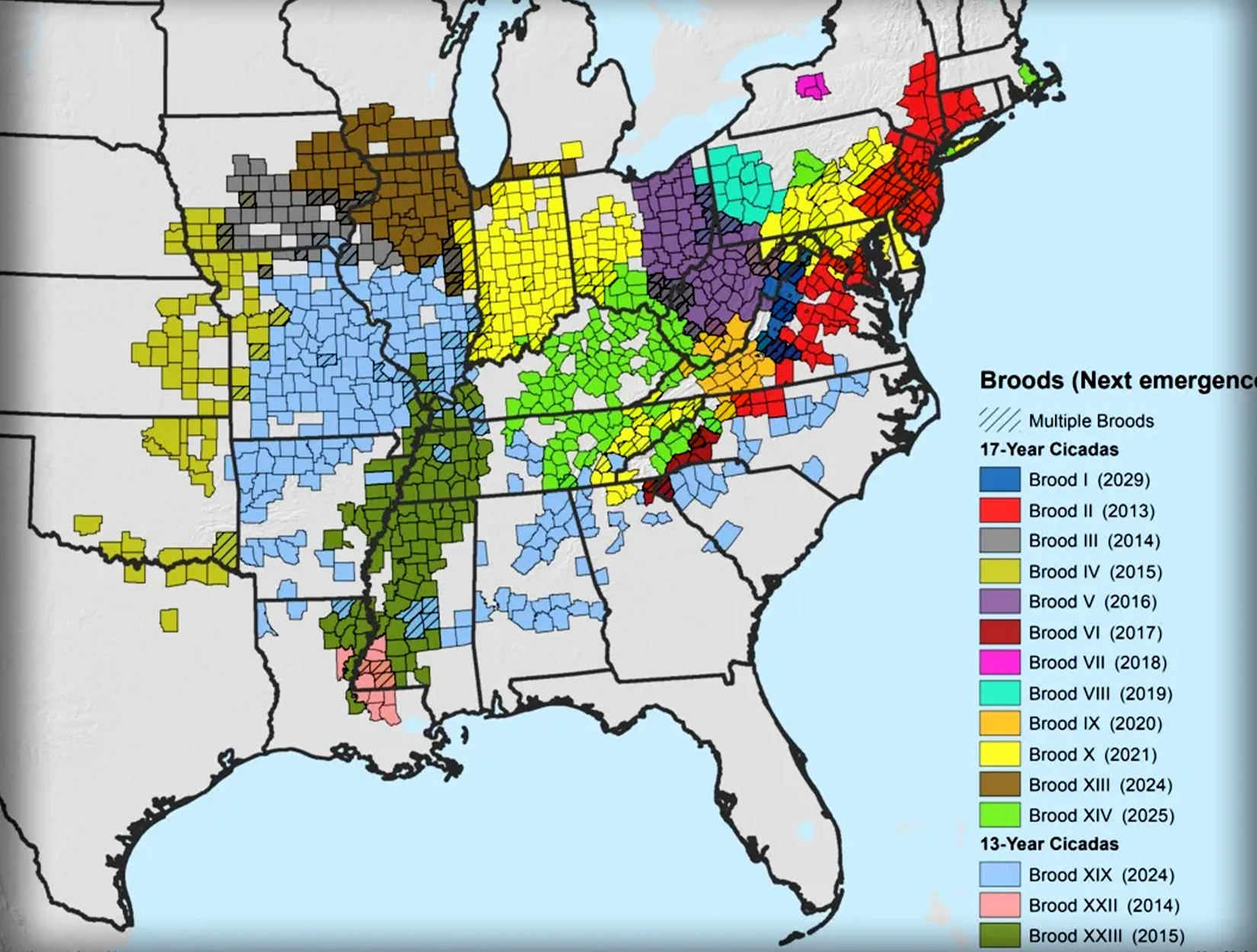 A map showing the periodical cicada broods in the U.S.