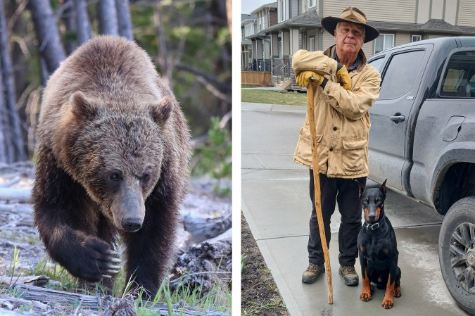 Alaska Wildlife Photographer Killed by Cow Moose Died ‘Doing What He Loved Most,’ Family Says
