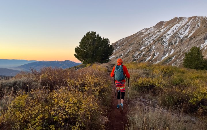 Hiker walks across meadow.