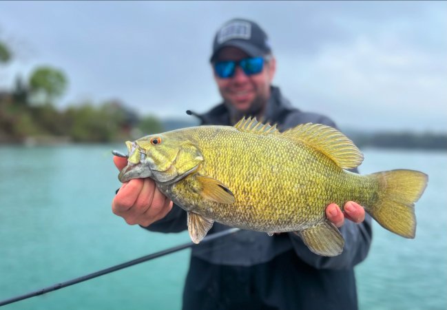 smallmouth bass