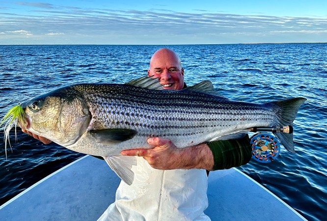 Fly angler with striped bass.