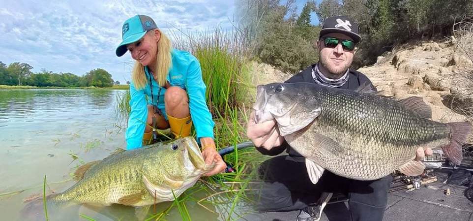 7 New Bass Species Just Became Eligible for World Records, Including Florida and Alabama Bass