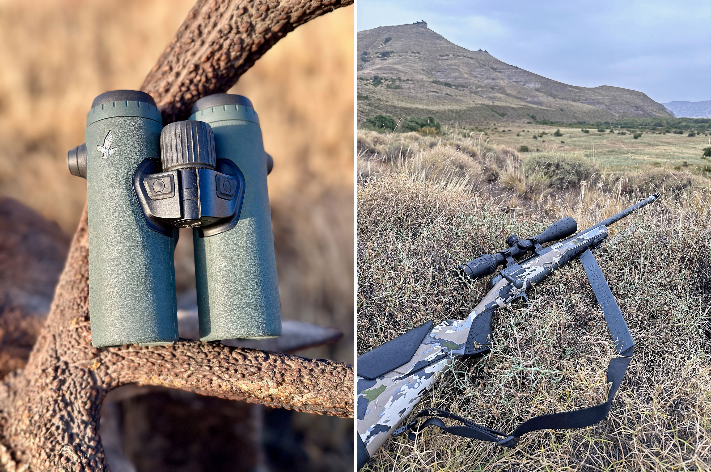 browning rifle and swarovski binoculars