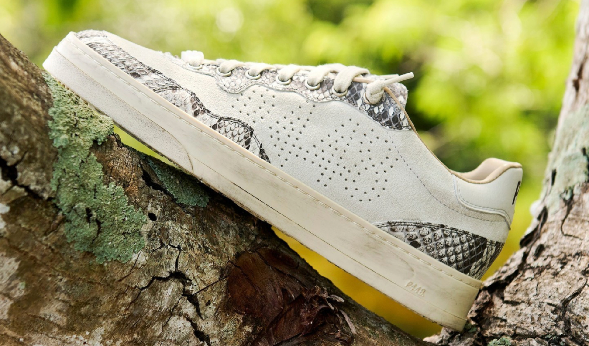 P448 Is Making High-End Sneakers Out of Pythons, Carp, and Other Invasive Species