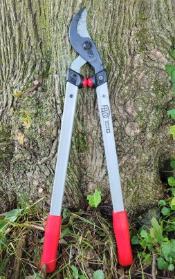 Felco 211 loppers